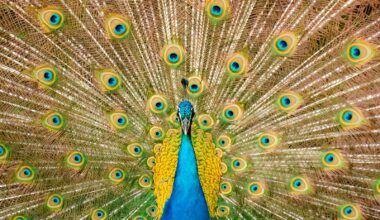 6 habits of people who handle money quietly and never feel the need to perform either their abundance or their restraint for anyone watching