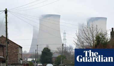 Burning wood for power worse for climate than gas equivalent, report finds | Energy