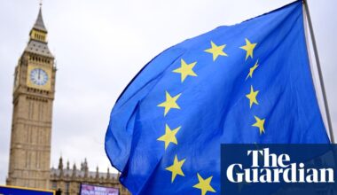 Britain should seek to rejoin EU, says civil servant who led Brexit department | Brexit