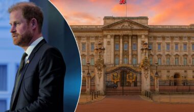 Buckingham Palace issues statement hours after Harry reaffirms royal status