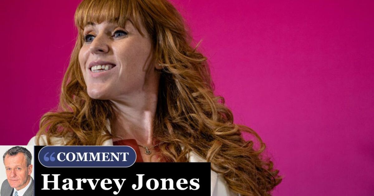 Angela Rayner declares war - secret plan to bring Britain to its knees | Personal Finance | Finance
