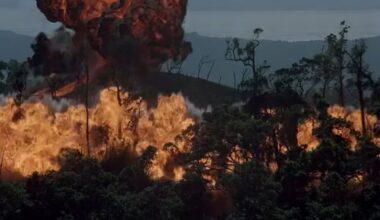 ‘Forgotten’ Vietnam war film that's 'more realistic' than Platoon and Full Metal Jacket | Films | Entertainment