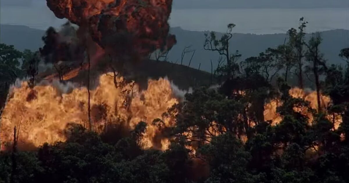 ‘Forgotten’ Vietnam war film that's 'more realistic' than Platoon and Full Metal Jacket | Films | Entertainment