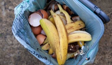Items you can't put in food waste bins as part of new rules | UK | News