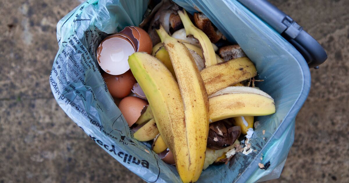 Items you can't put in food waste bins as part of new rules | UK | News
