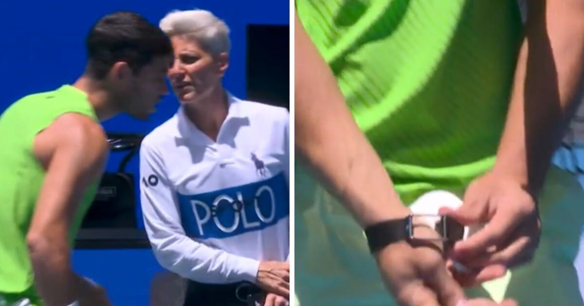 Carlos Alcaraz and Aryna Sabalenka learn decision on controversial ban | Tennis | Sport