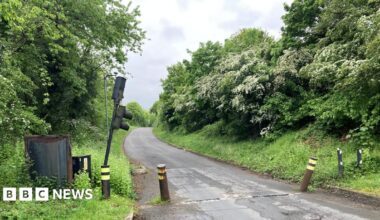 A single lane road with bushes either side