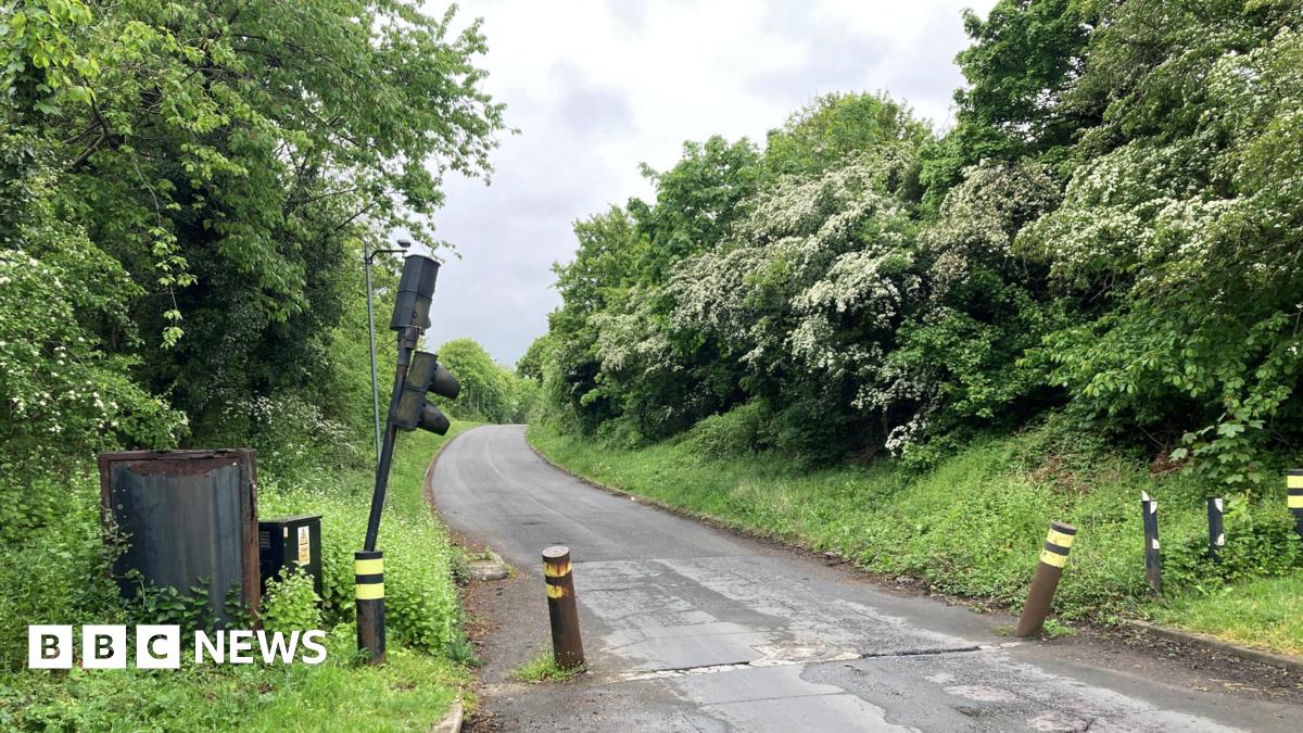 A single lane road with bushes either side