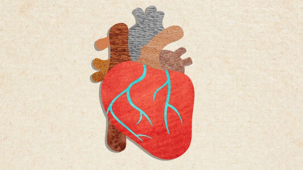 Illustration of a heart, which is affected by the new cholesterol guidelines
