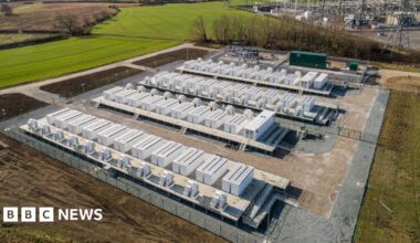 A computer-generated image showing many rows of white rectangular prisms taking up a field.