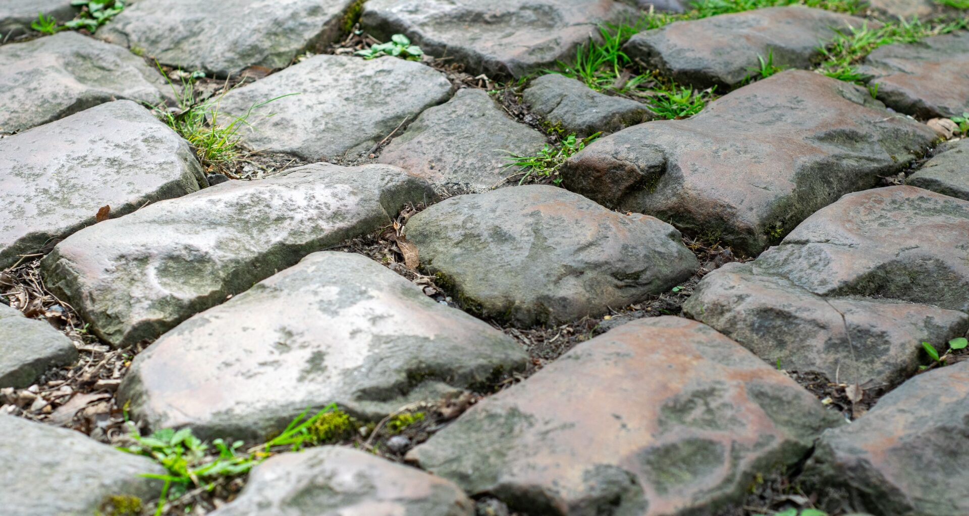I rode the Trouée d'Arenberg two years ago, and I still can't get over how rough it is