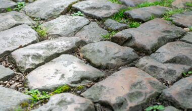 I rode the Trouée d'Arenberg two years ago, and I still can't get over how rough it is