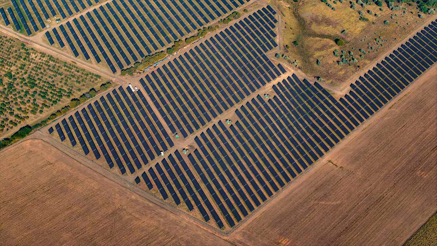 Unexpected benefits of solar plants revealed
