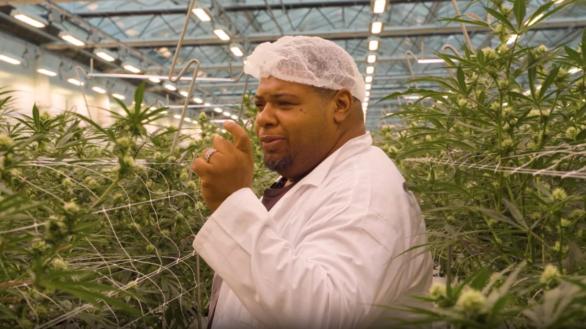 Rapper Big Narstie promoting his medical cannabis on social media