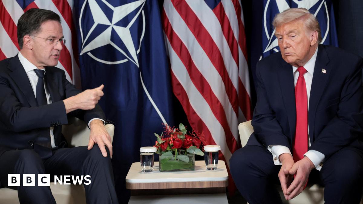 Nato Secretary General Mark Rutte and US President Donald Trump sitting in front of the Nato and American flag with a small table between them with two water glasses and a bundle of red flowers.