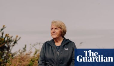 ‘Part of our souls’: the fight to stop the New Forest being split in two | Hampshire