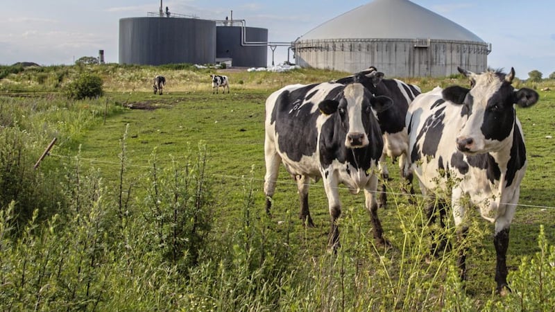 Newton Emerson: Sorry, but we can’t just recycle our slurry problem away
