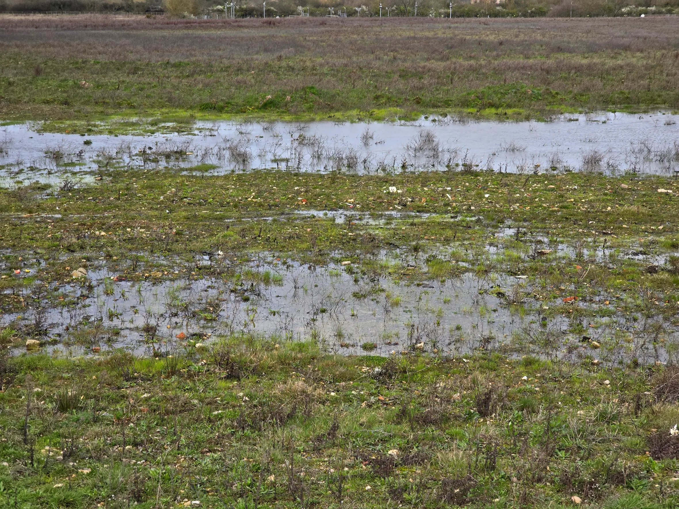 A flooded field with waterlogged ground, showing bricks, plastic, and other waste material mixed with soil and vegetation.