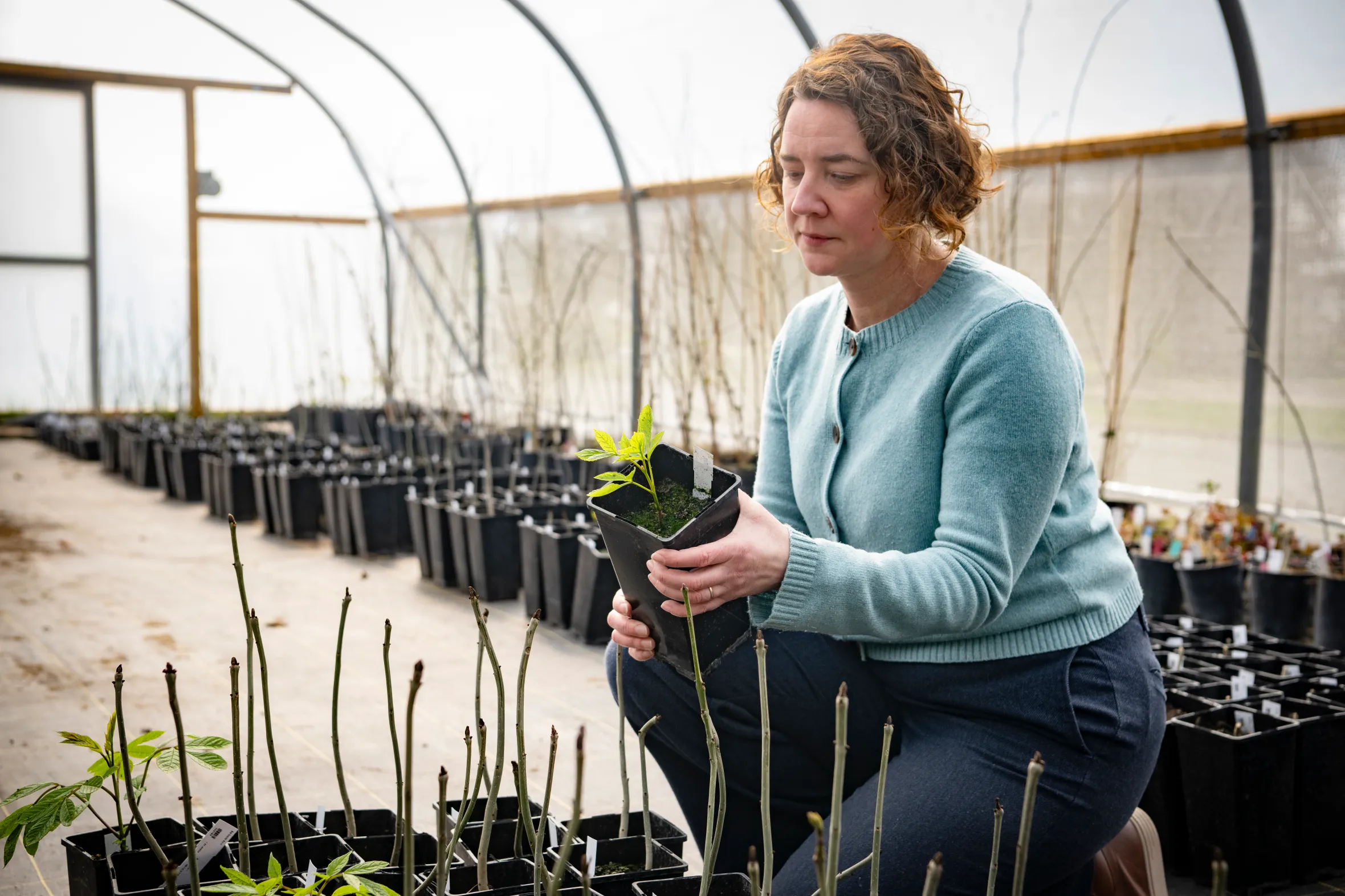 Dr. Elizabeth Orton with trees propagated using the embryo extraction method.