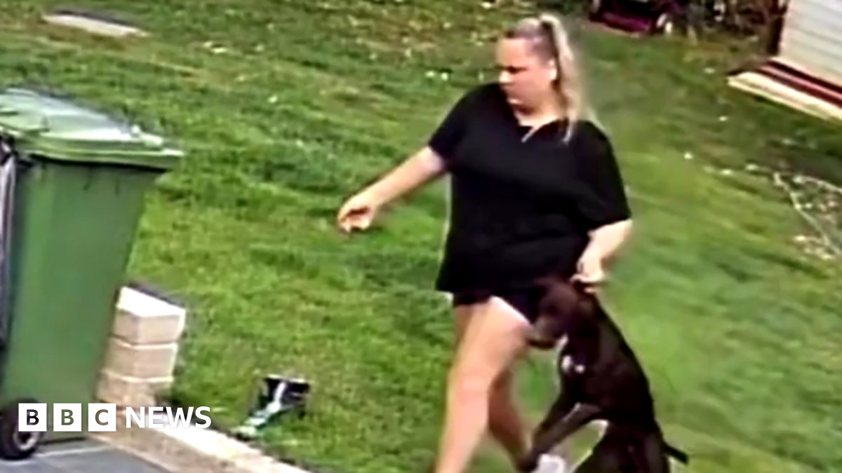 A woman can be seen dragging a black dog onto a patio area with a lawn behind. There is a green wheelie bin on the left hand side of the image. The woman is wearing a black top and has blonde hair.