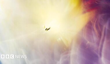 An abstract image of different colours and shapes in overlapping curves and contours, with a bright golden light breaking through at the top