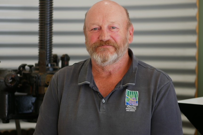 A man with a beard looks at the camera