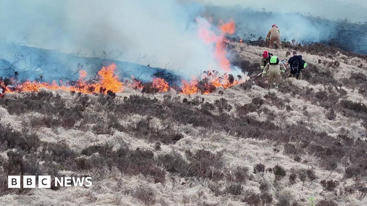 Four firefighters battling a wildfire on a mountain. There is a plume of smoke rising from the flames.
