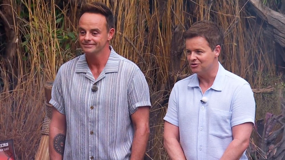 ant and dec, i'm a celebrityget me out of here south africa