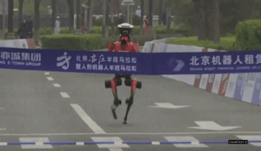 humanoids outpace their masters in half-marathon