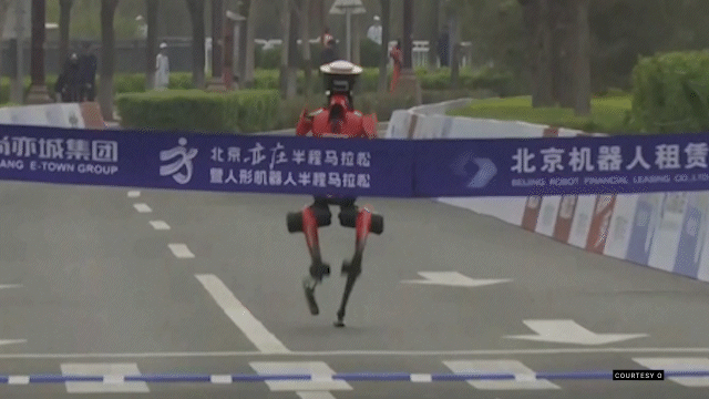 humanoids outpace their masters in half-marathon