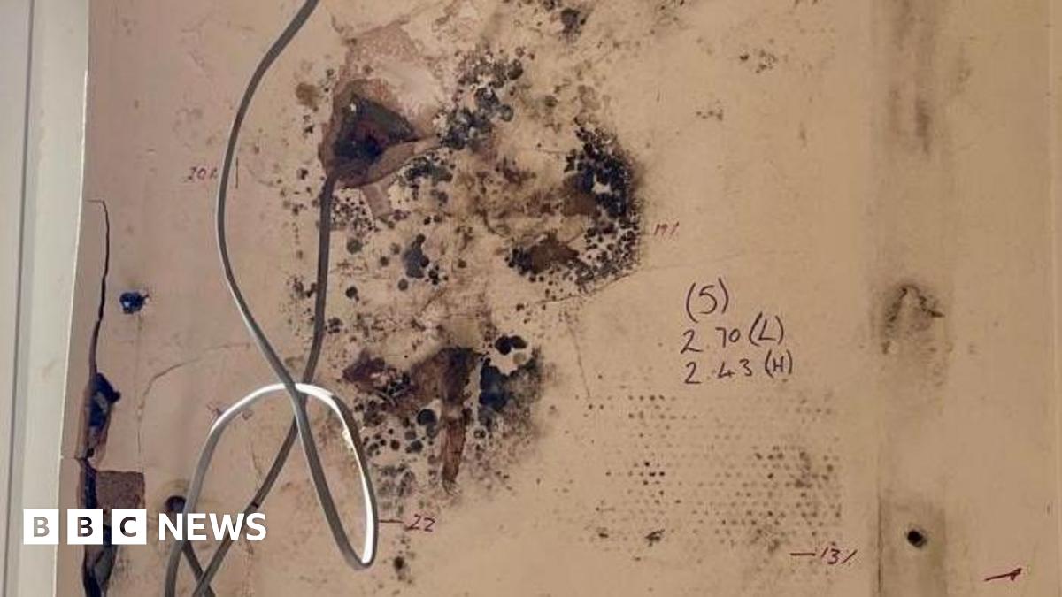 Black mould growing on the living room wall of a house