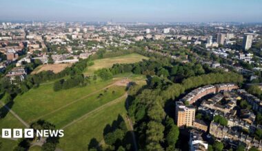 Aerial view of Primrose Hill showing parkland with trees alongside local housing.