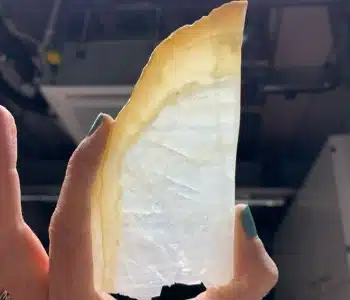 A Cross Section Of A Stalagmite Collected From A Cave On The Arabian Peninsula