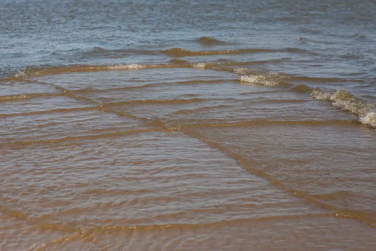 Square,waves,of,the,curonian,lagoon:,autumn,vibes,in,nida