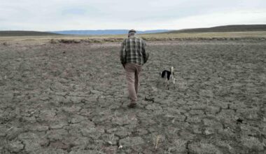 Record U.S. drought is so bad that 97% of the Southeast and two-thirds of the West are parched