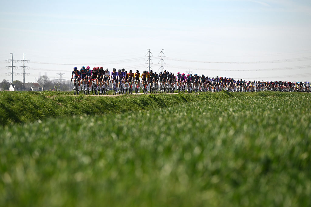 A general view of the peloton during the 114th Scheldeprijs 2026