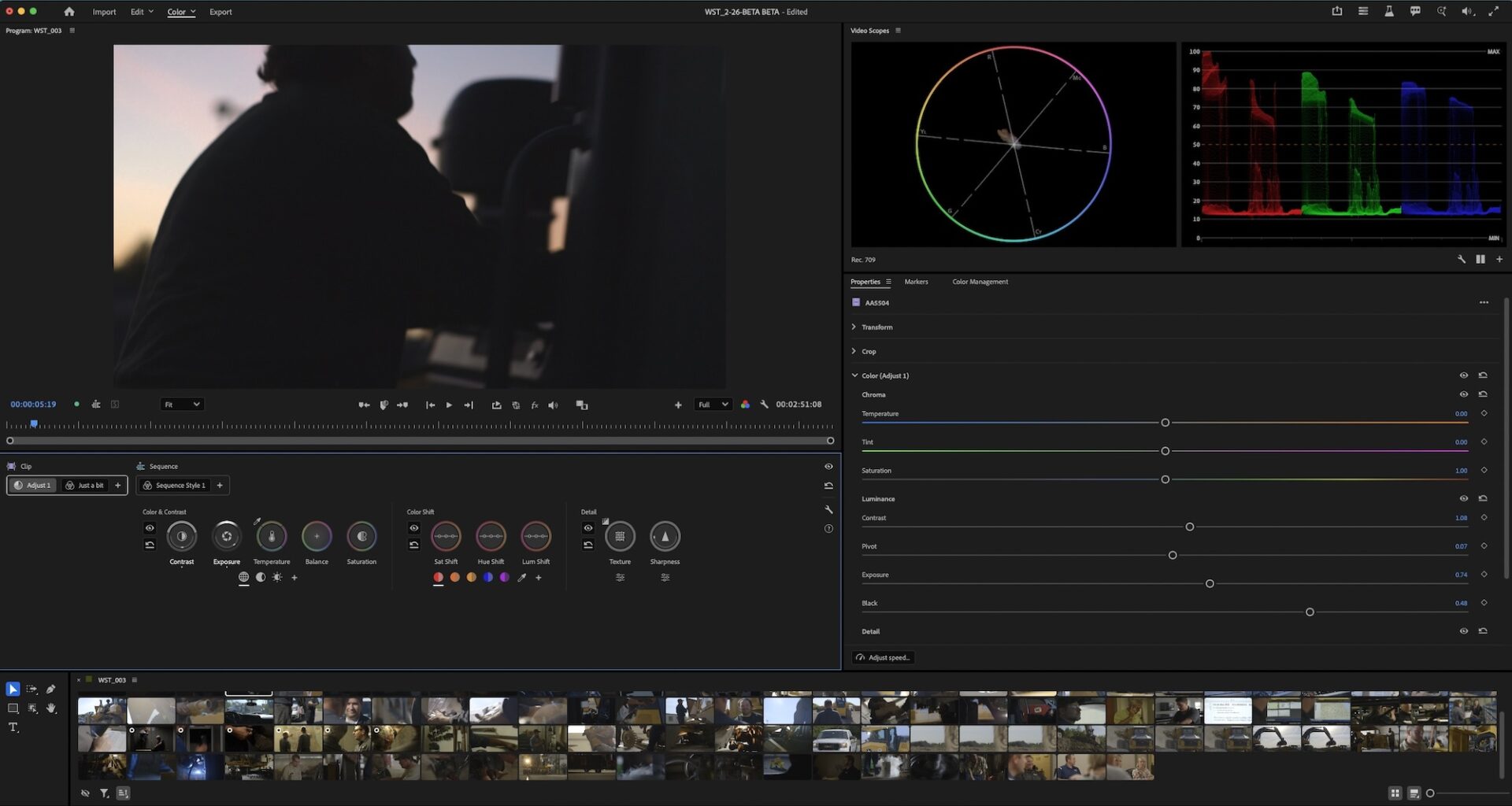 Burning Questions about Adobe Premiere Beta's new dedicated Color Mode 11