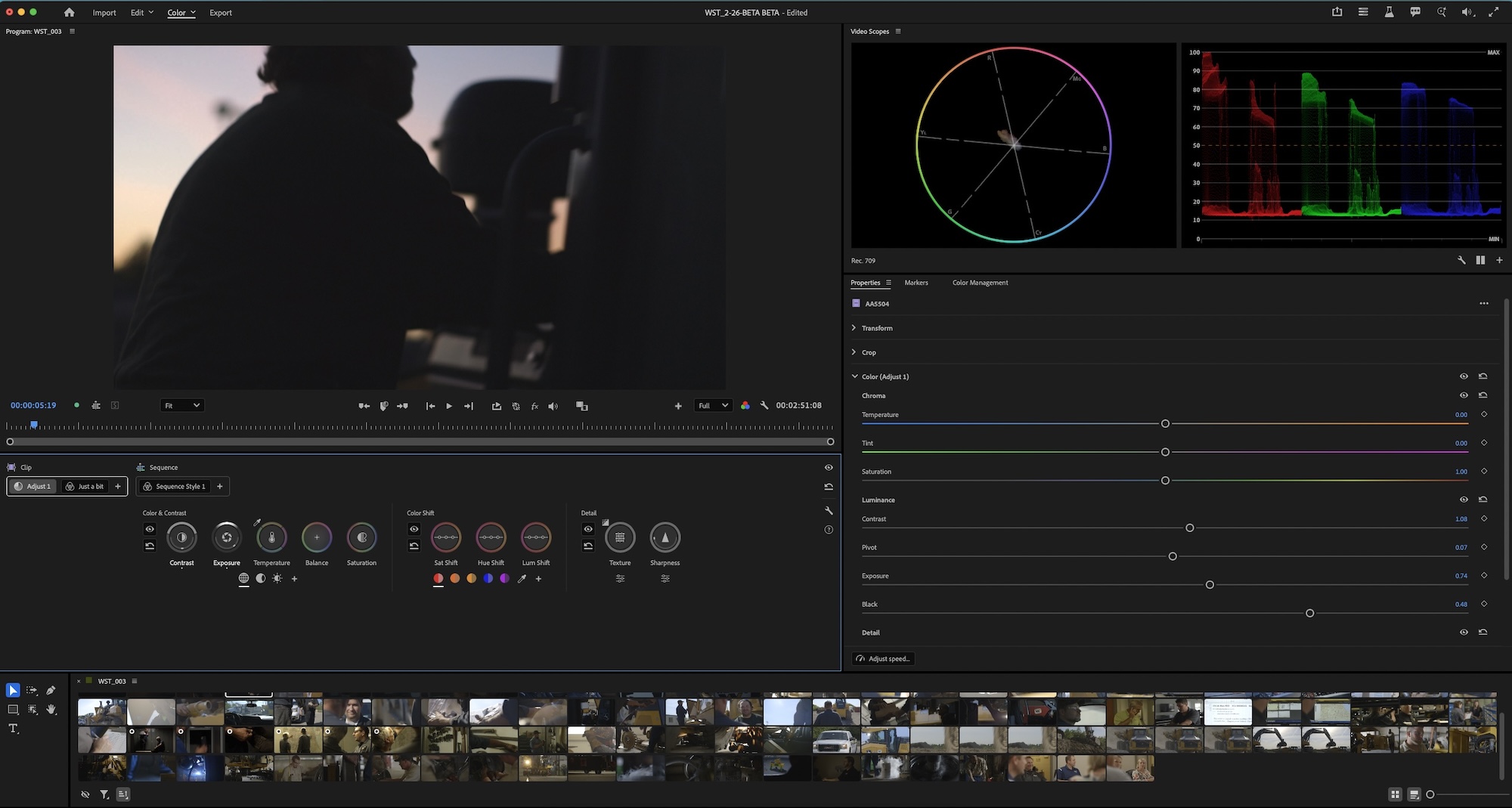 Burning Questions about Adobe Premiere Beta's new dedicated Color Mode 11