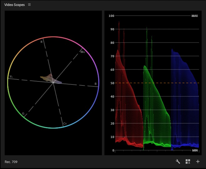 Burning Questions about Adobe Premiere Beta's new dedicated Color Mode 21