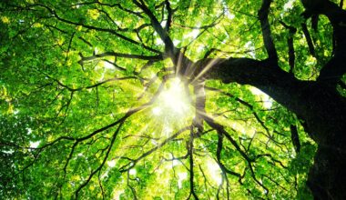 What have you been playing this week?