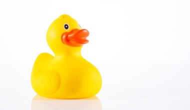 Adorable Online Video Shows Just How Much This Aquarium Seal Loves His Duckie