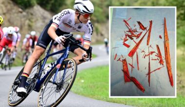 'I got really lucky' – German racer left with 50cm piece of wood lodged in hip after track crash