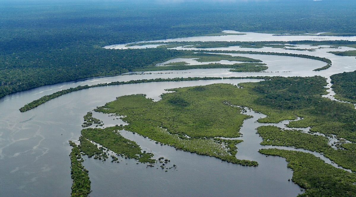 Amazon rainforest