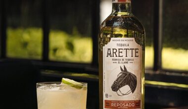 Arette is produced at the El Llano Distillery, one of the oldest in Jalisco
