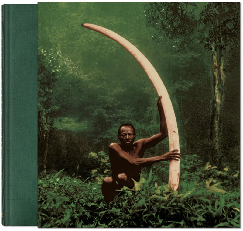 A person squats in dense green foliage, holding a large, curved ivory tusk upright, surrounded by a lush forest background.