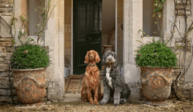 An old vicarage in Oxfordshire that is a lesson in contemporary country style