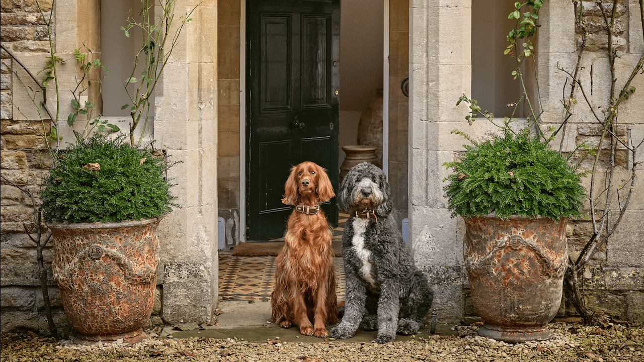 An old vicarage in Oxfordshire that is a lesson in contemporary country style