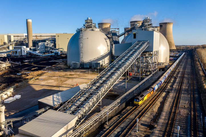 £1bn but falling Record subsidy for UK biomass burning enters final year