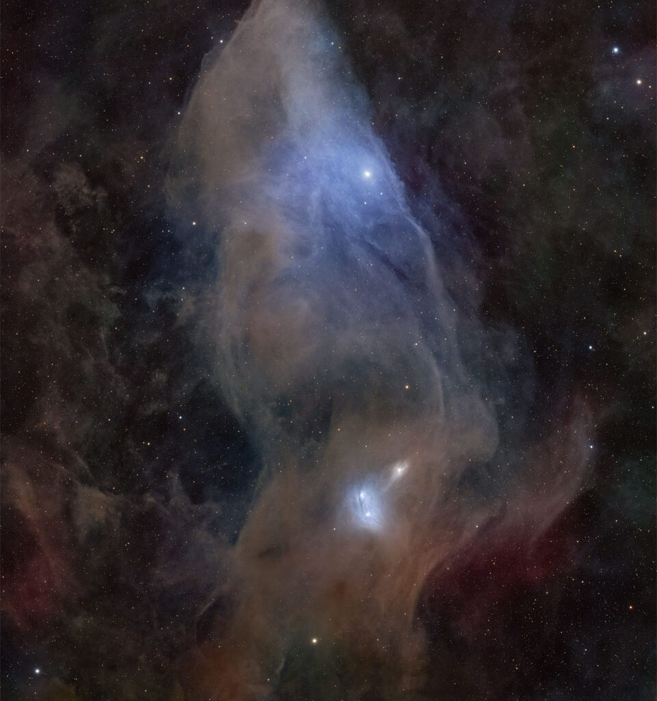 A starfield surrounds a large nebula that is mostly brown
and blue and has an appearance reminiscent of the head of a horse.
This nebula is not the more famous Horsehead Nebula. 
Please see the explanation for more detailed information.