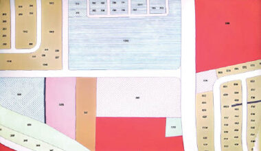 Daily Trust- FCTA converts Abuja hospital land to private estate